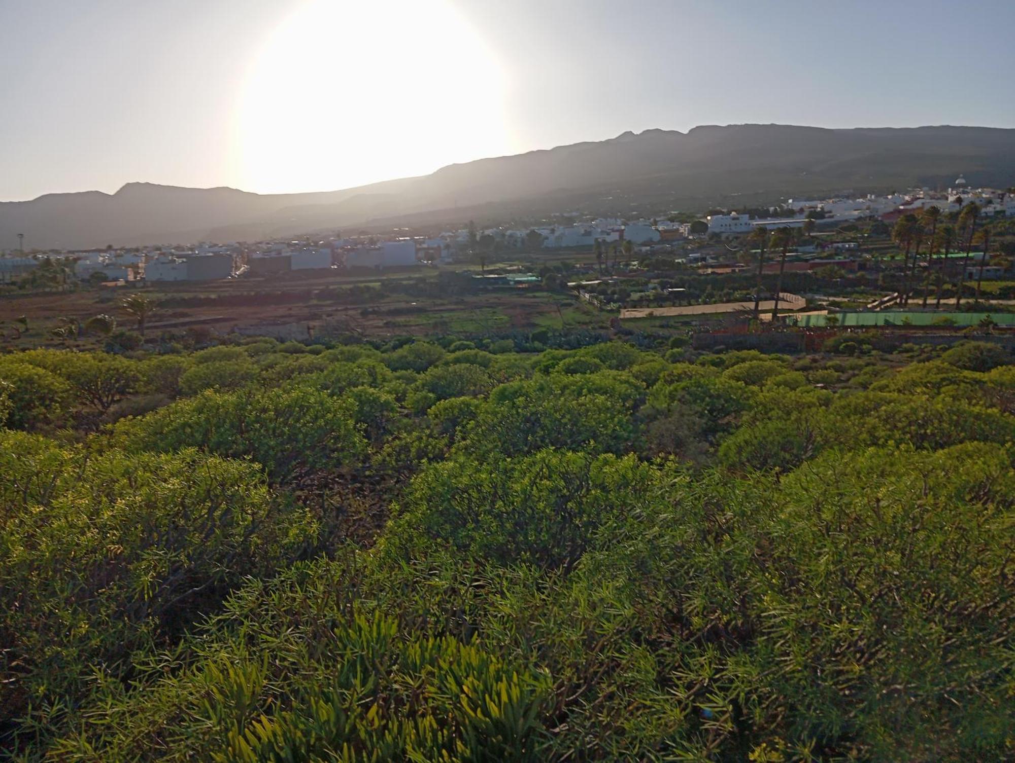 Casa Grande Finca El Calabres アグイメス エクステリア 写真
